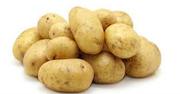 продам картофель  2014