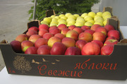 Яблоки айдаред,  семеринко,  голден мелроуз 