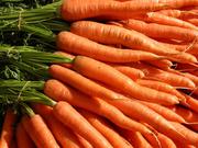 Продам морковь в Павлодаре